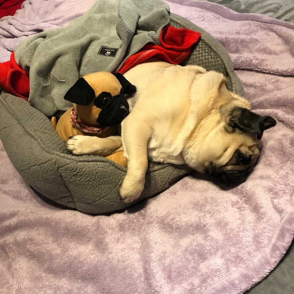 Meet your Posher, Mitchell - Picture 1 of 1